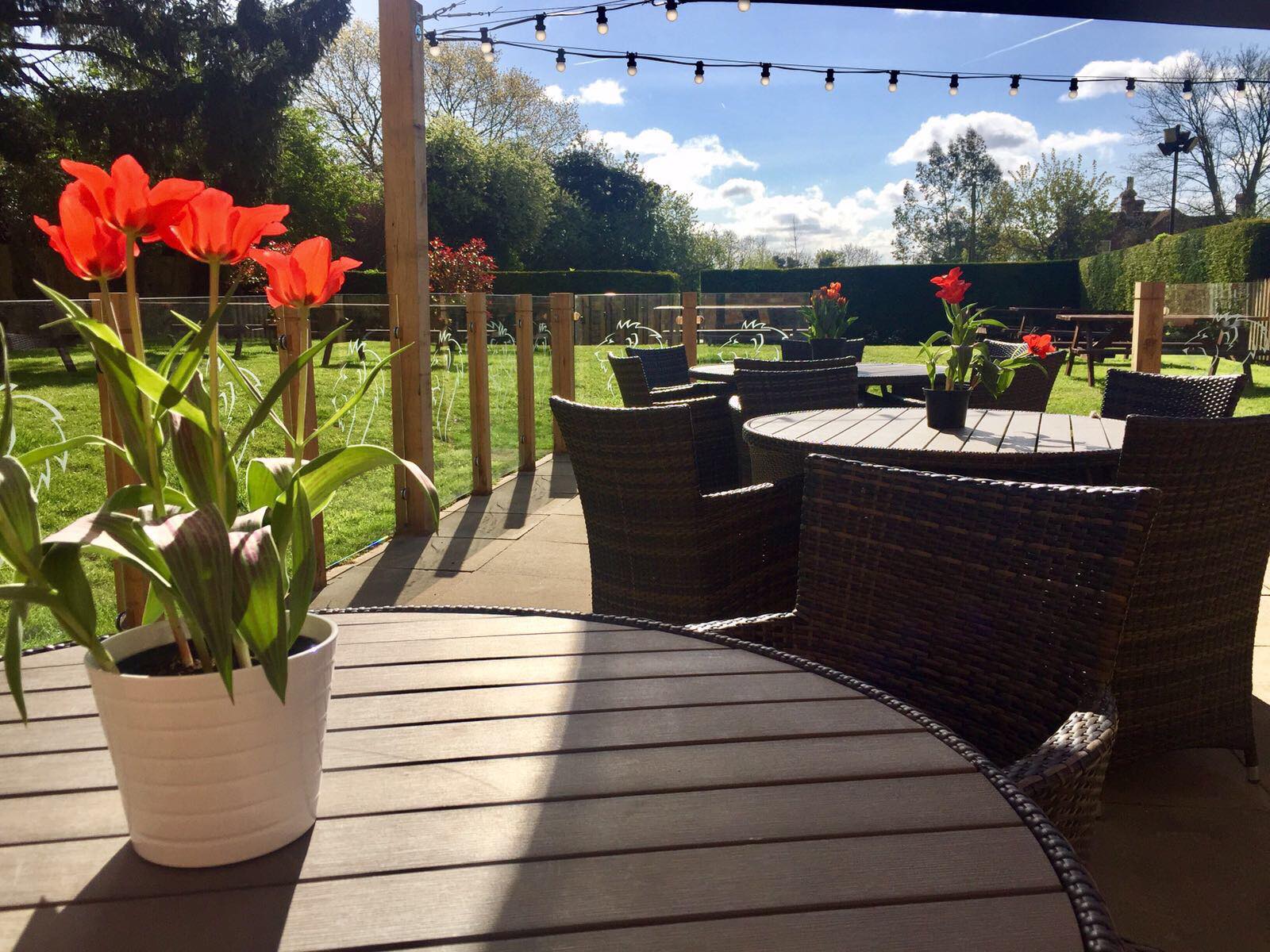 alfresco-plant