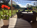 alfresco-plant