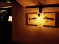 fish on wall.jpg